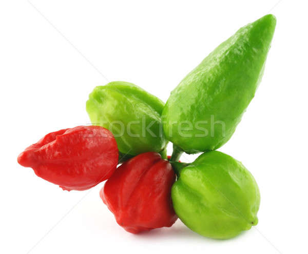 Different types of chilies Stock photo © bdspn