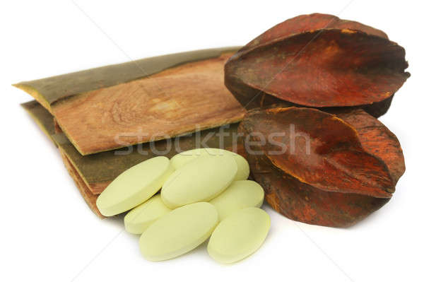 Medicinal Terminalia arjuna with pills Stock photo © bdspn