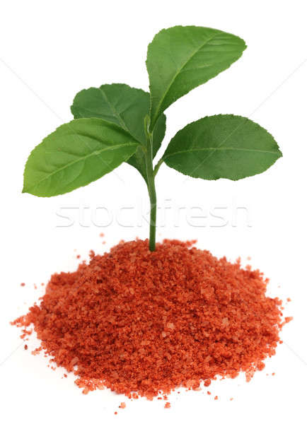 Planta fertilizante blanco alimentos naranja verde Foto stock © bdspn