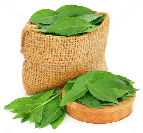 Henna leaves in sack and a wooden bowl Stock photo © bdspn