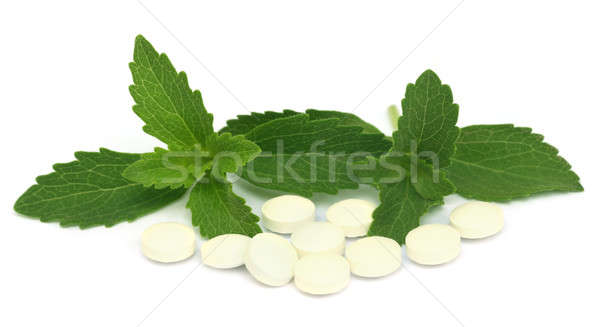 Stevia with tablets Stock photo © bdspn