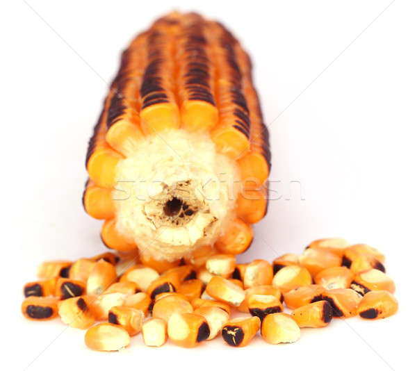Fried salted corns Stock photo © bdspn