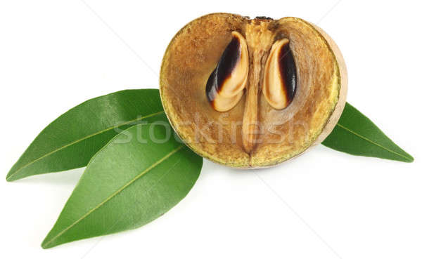 Stock photo: Sapodilla fruit