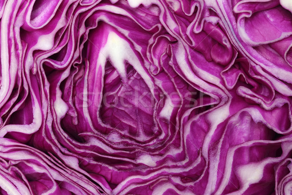 Red cabbage background Stock photo © bdspn