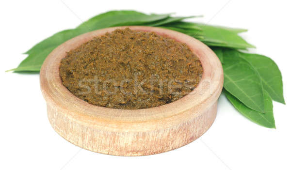 Henna levelek fából készült tál természet zöld Stock fotó © bdspn