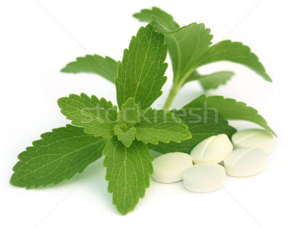 Stevia with tablets Stock photo © bdspn