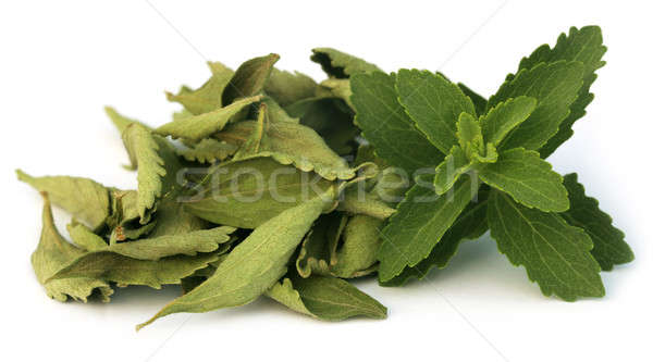 Green and dired Stevia leaves Stock photo © bdspn