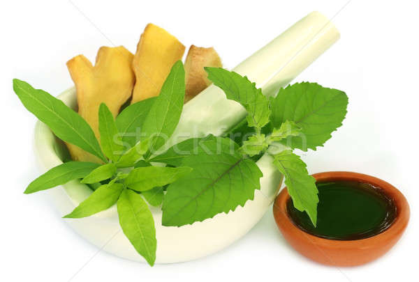 Stock photo: Medicinal herbs with mortar and pestle