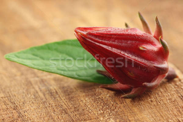 Roselle with green leaf Stock photo © bdspn