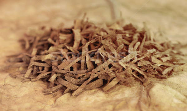 Wyschnięcia tytoń pozostawia papierosów liści Zdjęcia stock © bdspn