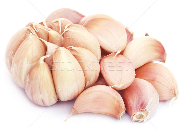 Fresh garlic Stock photo © bdspn