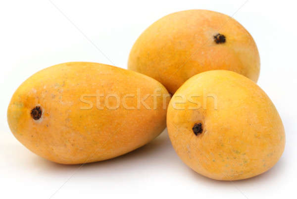 Fresh Mangoes Stock photo © bdspn