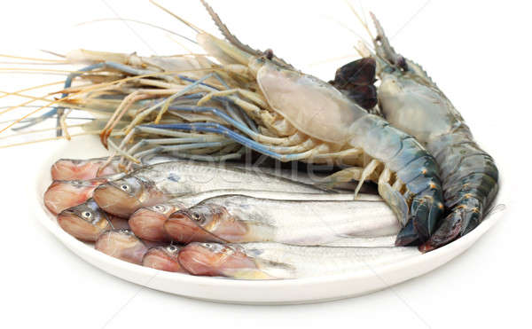 Fresh water Pabda fish with Lobster Stock photo © bdspn