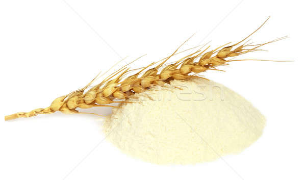 Wheat and flour Stock photo © bdspn