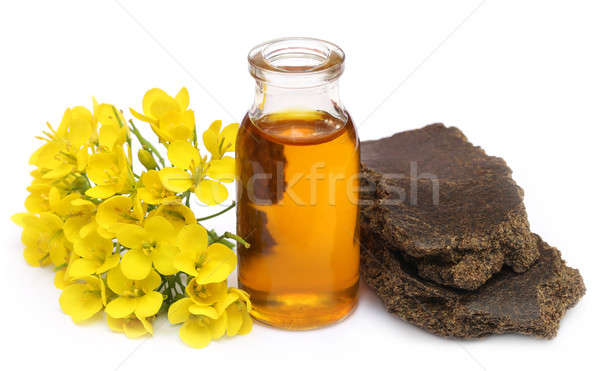 Mustard oil cake with flower Stock photo © bdspn