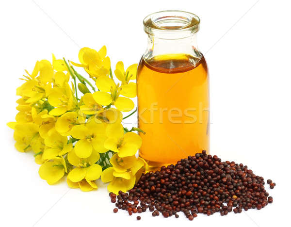 Mustard flowers and oil Stock photo © bdspn