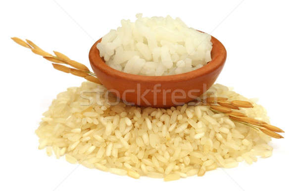 Golden paddy seeds with rice raw and cooked Stock photo © bdspn