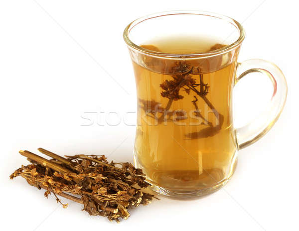 Ayurvedic medicinal Chirata with herbal juice Stock photo © bdspn