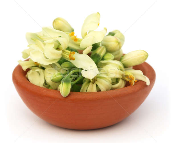 Stock photo: Edible moringa flower on a brown bowl
