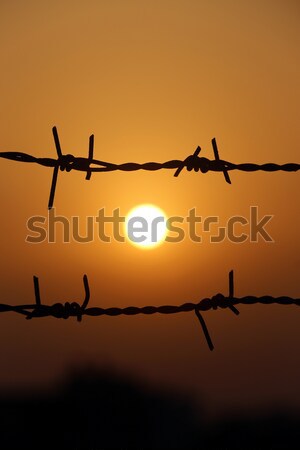 Setting sun behind barbed wire Stock photo © bdspn