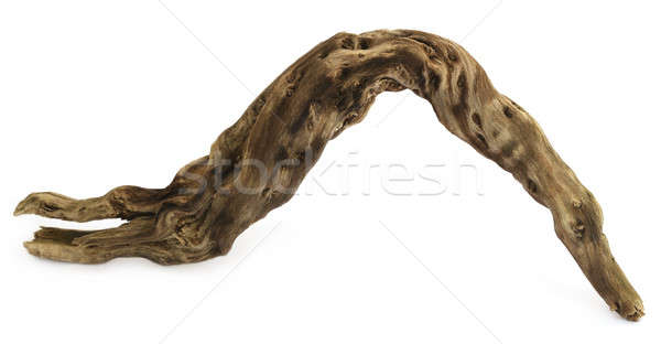 Bogwood over white background Stock photo © bdspn