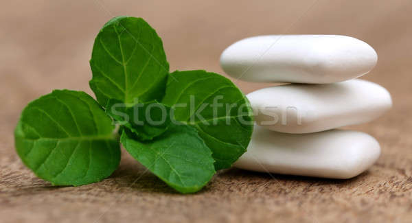 [[stock_photo]]: Gomme · menthe · laisse · feuille · médecine