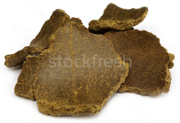 Mustard oil cake Stock photo © bdspn