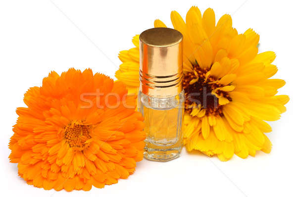 Közelkép illat üveg fehér háttér szépség Stock fotó © bdspn