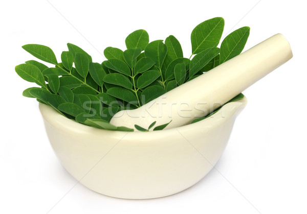 Mortar and pestle with medicinal moringa leaves Stock photo © bdspn