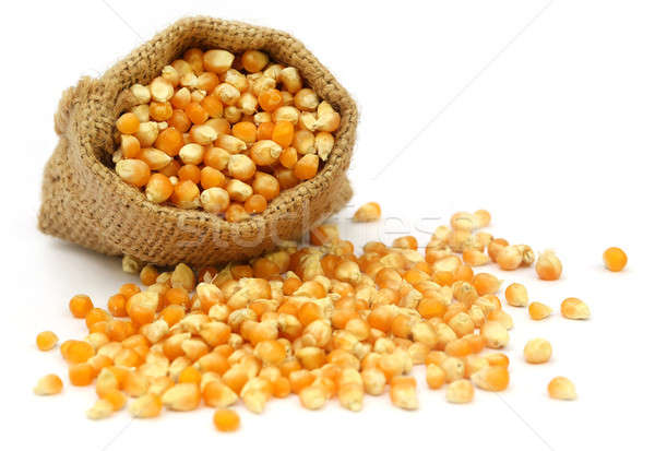 Corns in sack bag Stock photo © bdspn