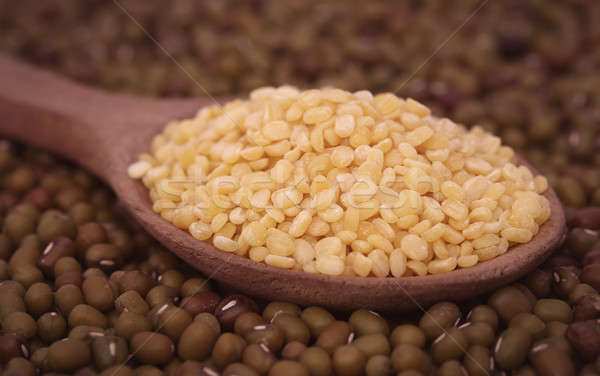 Dry mung bean  Stock photo © bdspn