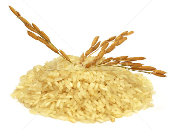 Foto stock: Dourado · sementes · arroz · branco · comida · asiático