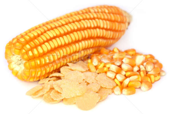 Corns with flakes Stock photo © bdspn