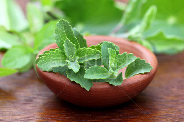 Stevia on a brown bowl Stock photo © bdspn