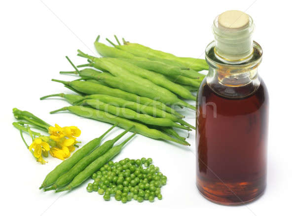 Mustard bean with flower and oil Stock photo © bdspn