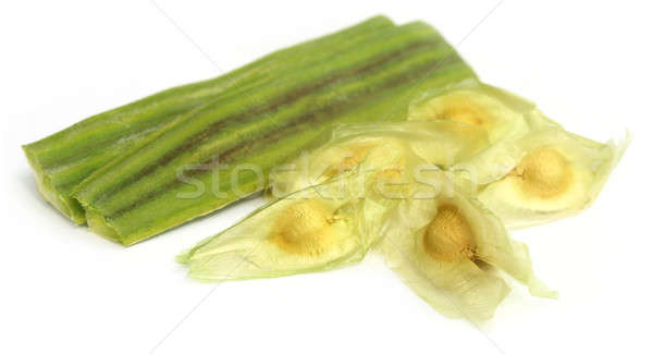 Seeds of moringa oleifera Stock photo © bdspn