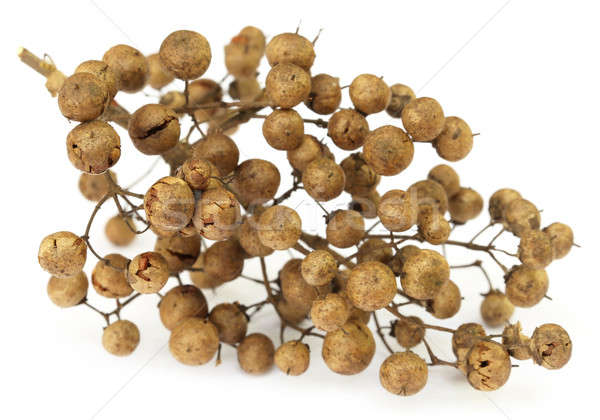 Henna seminţe alb natură piele plantă Imagine de stoc © bdspn