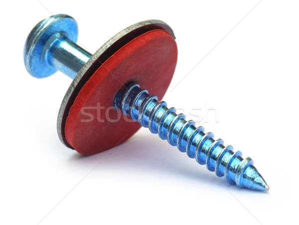 Screw with washer Stock photo © bdspn