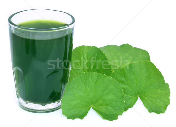 Medicinal thankuni leaves with extract Stock photo © bdspn