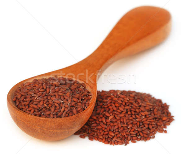 Flax or edible tisi seeds Stock photo © bdspn