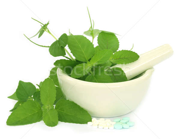 Medicinal herbs with mortar and pestle Stock photo © bdspn
