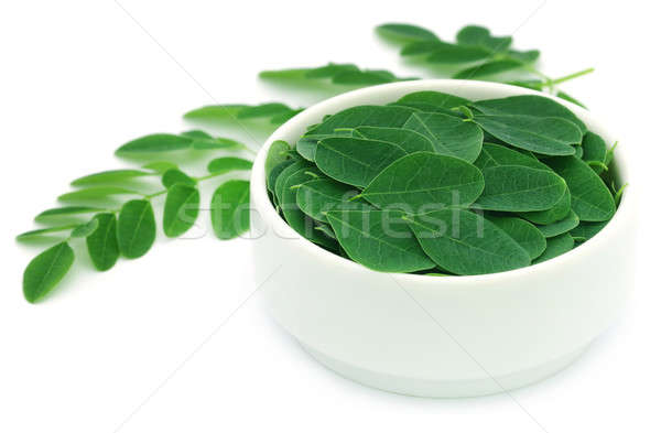 Ehető levelek fehér tál zöld ital Stock fotó © bdspn