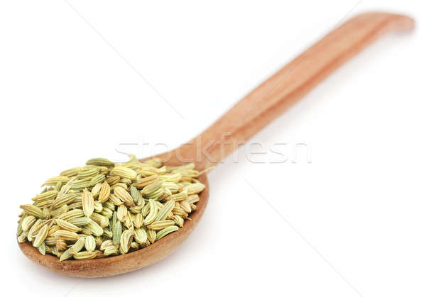Fenchel Samen Holzlöffel weiß Kochen indian Stock foto © bdspn