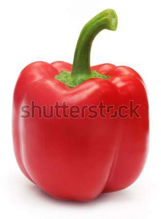 Red capsicum Stock photo © bdspn