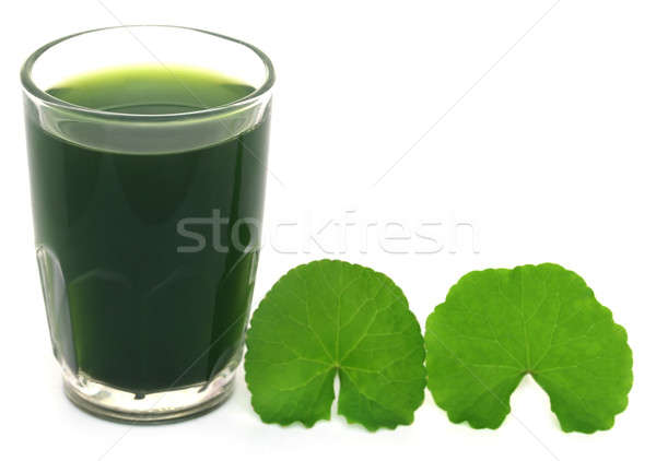 Medicinal thankuni leaves with extract Stock photo © bdspn