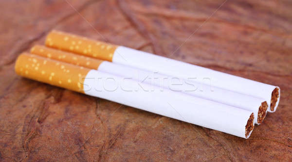 [[stock_photo]]: Filtrer · cigarette · sécher · tabac · laisse · ferme