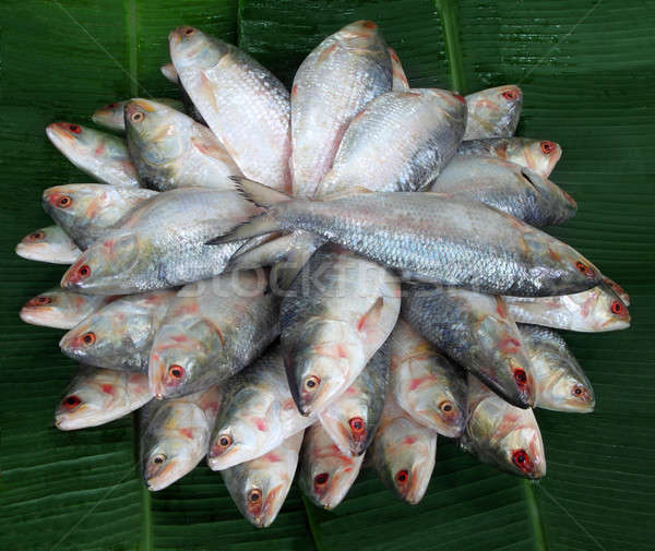Köteg friss hal Délkelet-Ázsia étel zöld Stock fotó © bdspn