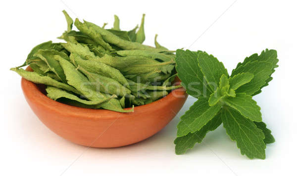 Green and dired Stevia leaves Stock photo © bdspn