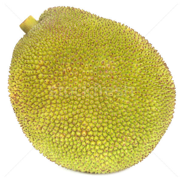 Jackfruit Stock photo © bdspn