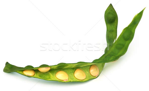 Sandalwood Seeds with green bean Stock photo © bdspn